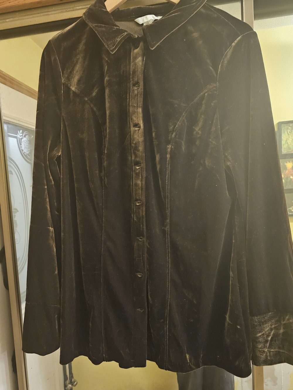 Source Unknown Women's Velvet Button-Up Blouse - Dark Brown